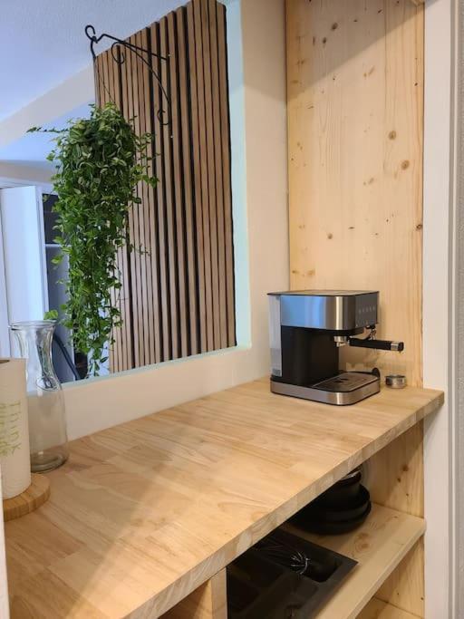 Joli Studio Renove Situe Au Pied Des Thermes アメリ・レ・バン・パラルダ エクステリア 写真